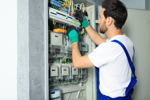 Best Electrical System Inspection  in Estherville, IA
